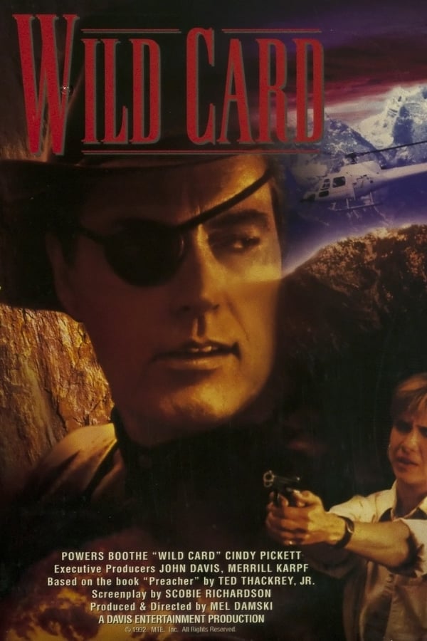 Cover of the movie Wild Card