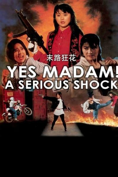 Cover of the movie A Serious Shock! Yes Madam!