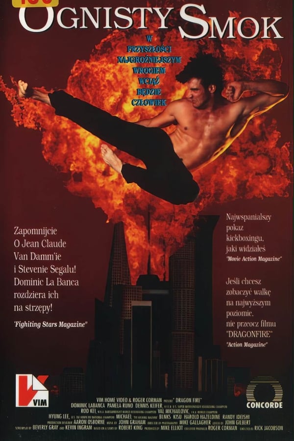 Cover of the movie Dragon Fire