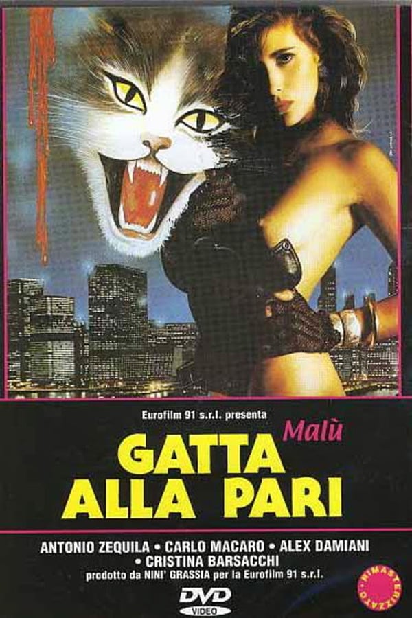 Cover of the movie Gatta alla pari