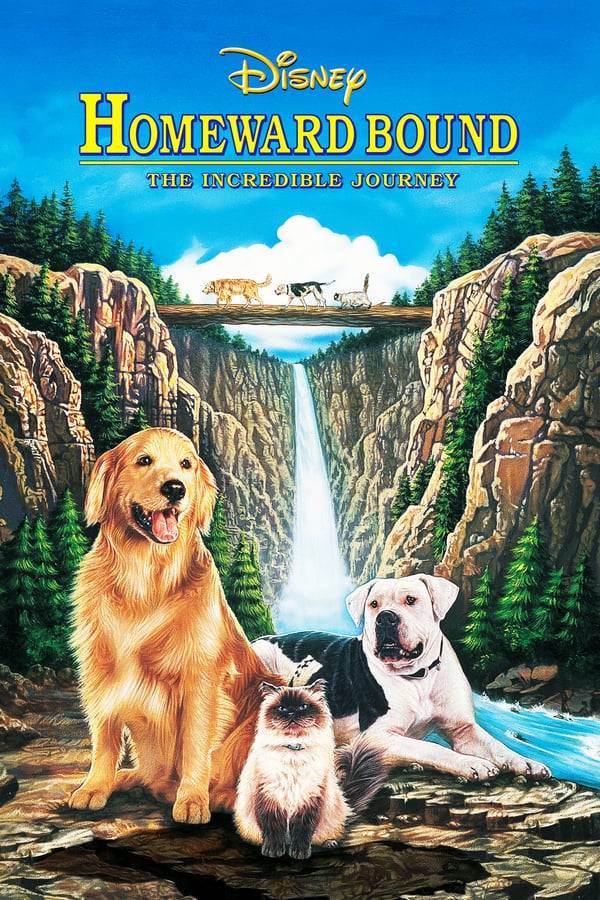 Cover of the movie Homeward Bound: The Incredible Journey
