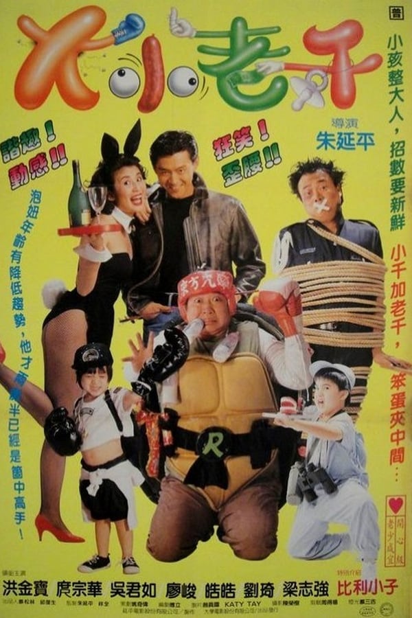 Cover of the movie King Swindler