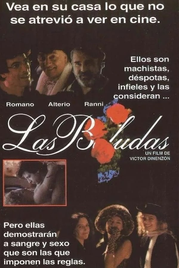Cover of the movie Las boludas