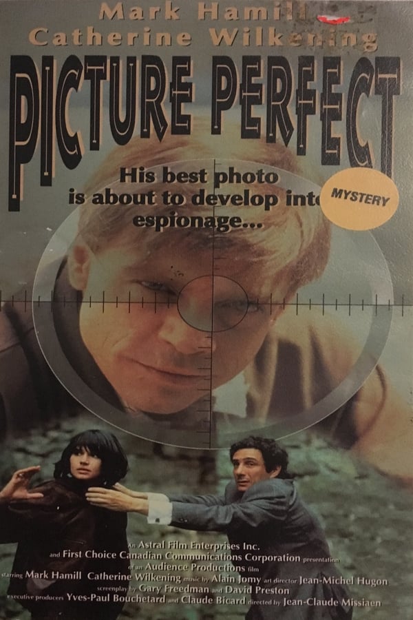 Cover of the movie Picture Perfect