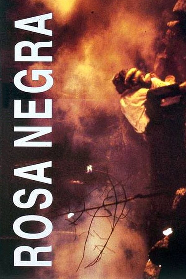 Cover of the movie Rosa Negra
