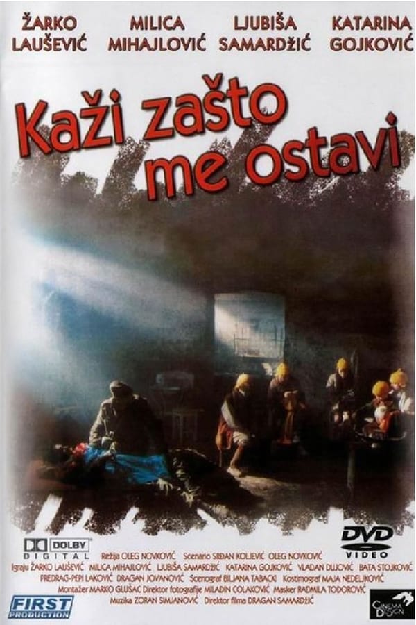 Cover of the movie Say Why Have You Left Me?