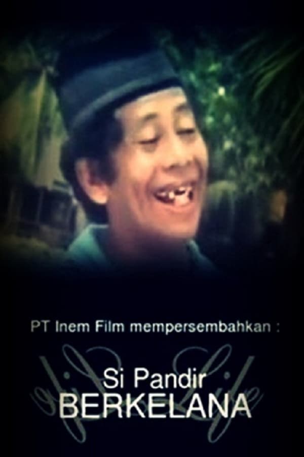 Cover of the movie Si Pandir Berkelana