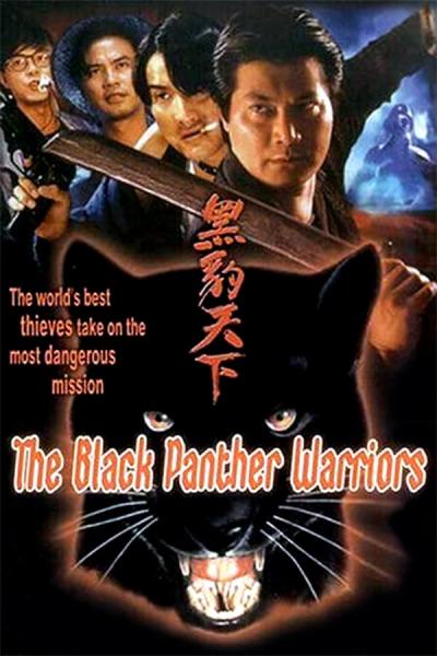 Cover of the movie The Black Panther Warriors