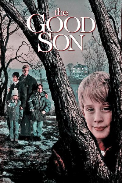 Cover of the movie The Good Son