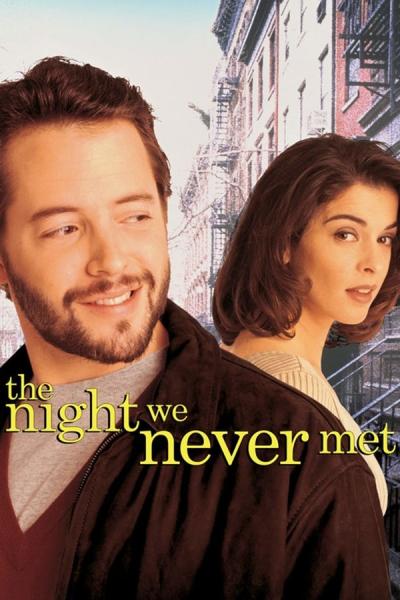 Cover of the movie The Night We Never Met