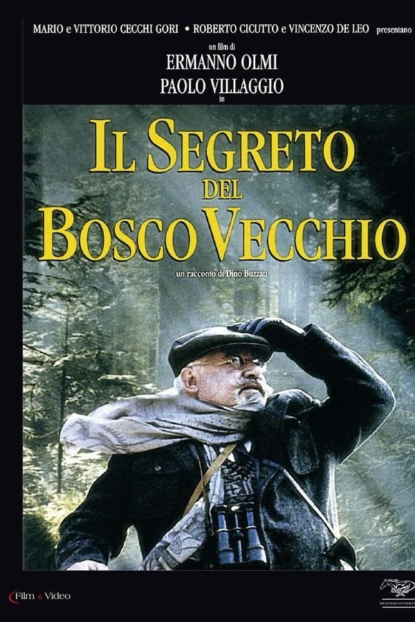 Cover of the movie The Secret of the Old Woods