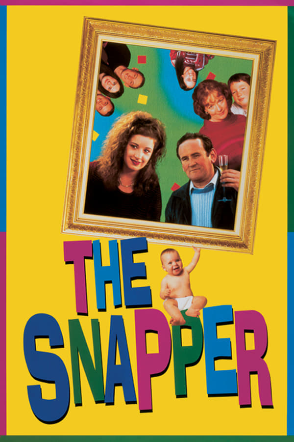 Cover of the movie The Snapper
