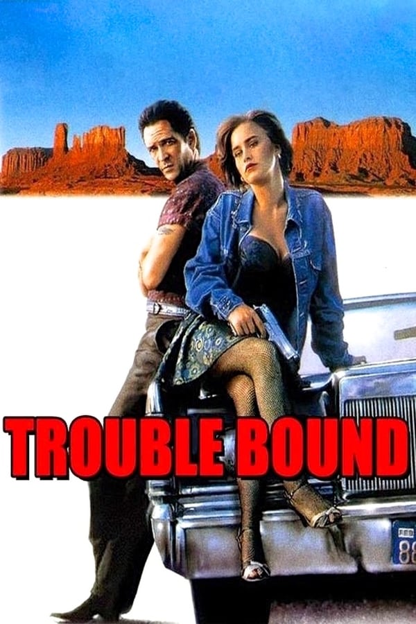 Cover of the movie Trouble Bound