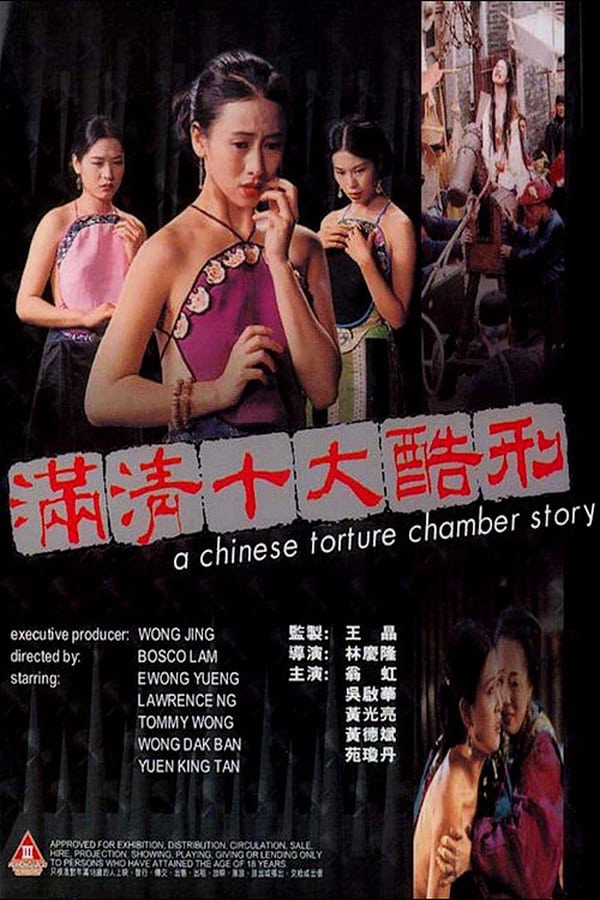 Cover of the movie A Chinese Torture Chamber Story
