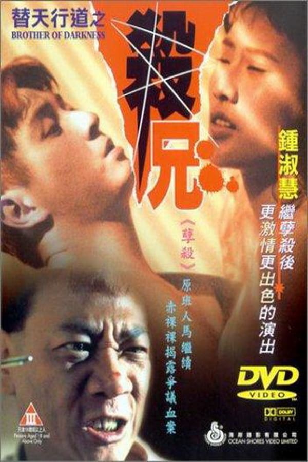 Cover of the movie Brother of Darkness
