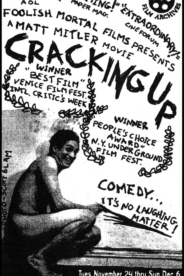 Cover of the movie Cracking Up