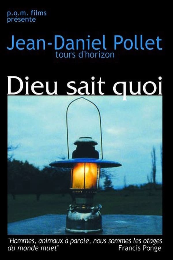 Cover of the movie Dieu sait quoi