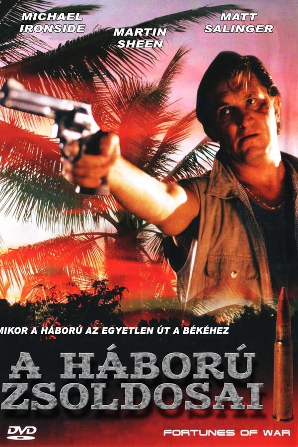 Cover of the movie Fortunes of War