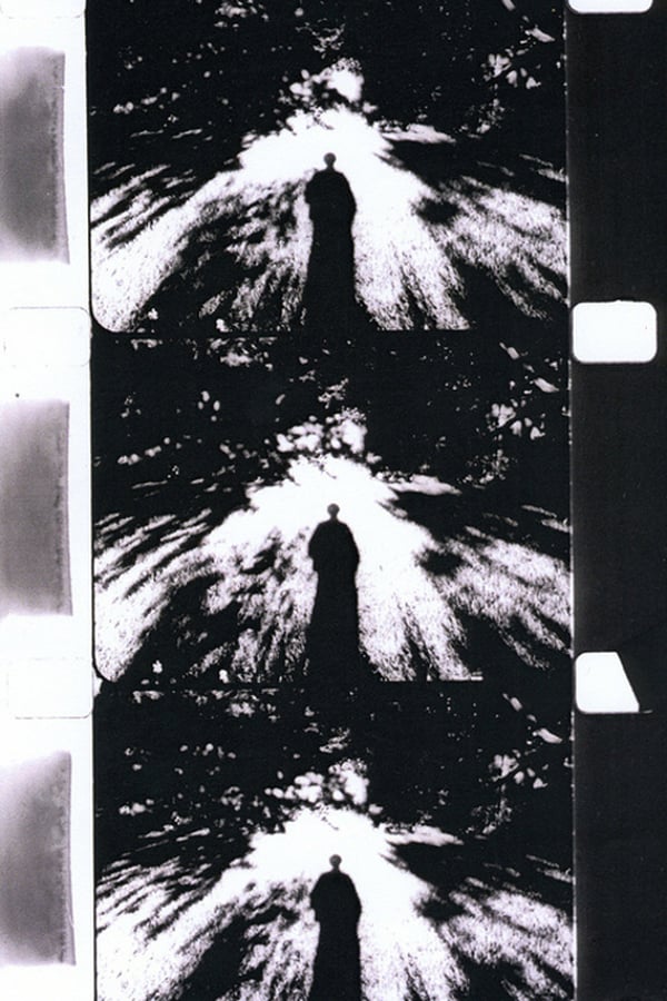 Cover of the movie Imaginary Light