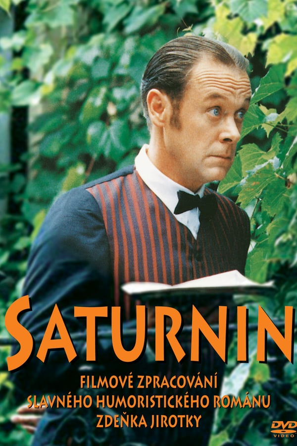 Cover of the movie Saturnin