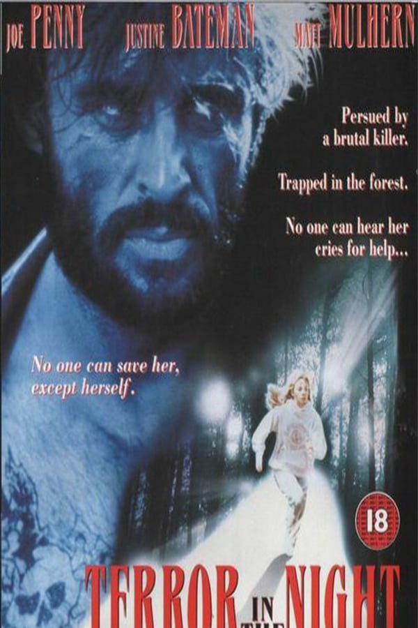 Cover of the movie Terror in the Night