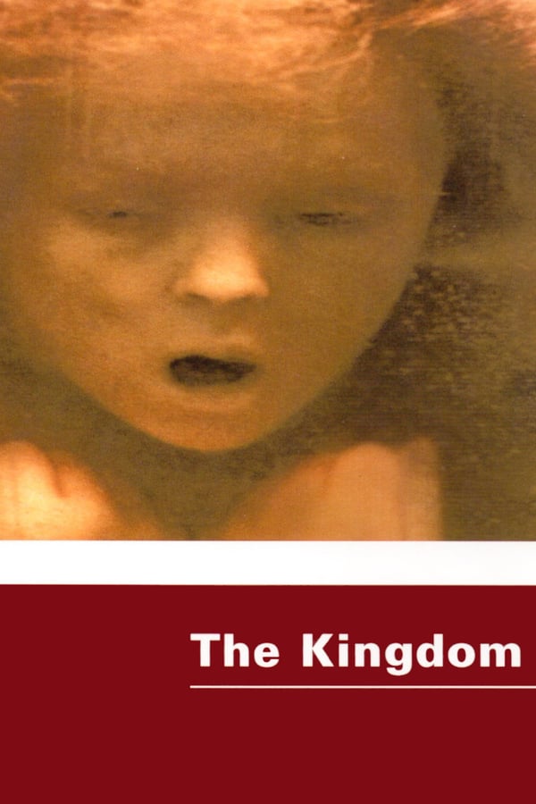 Cover of the movie The Kingdom