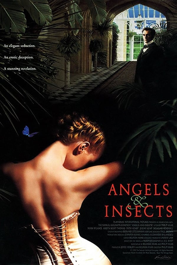 Cover of the movie Angels and Insects