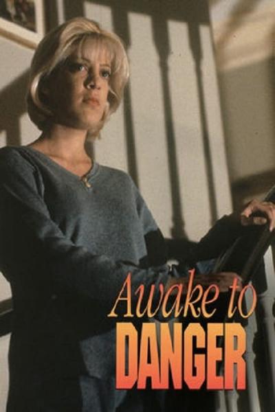 Cover of the movie Awake to Danger
