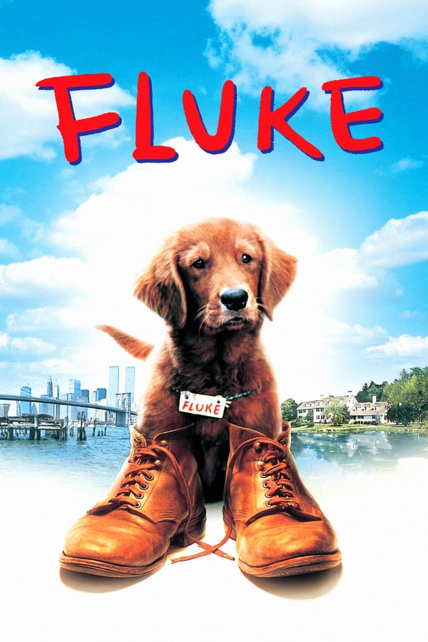 Cover of the movie Fluke