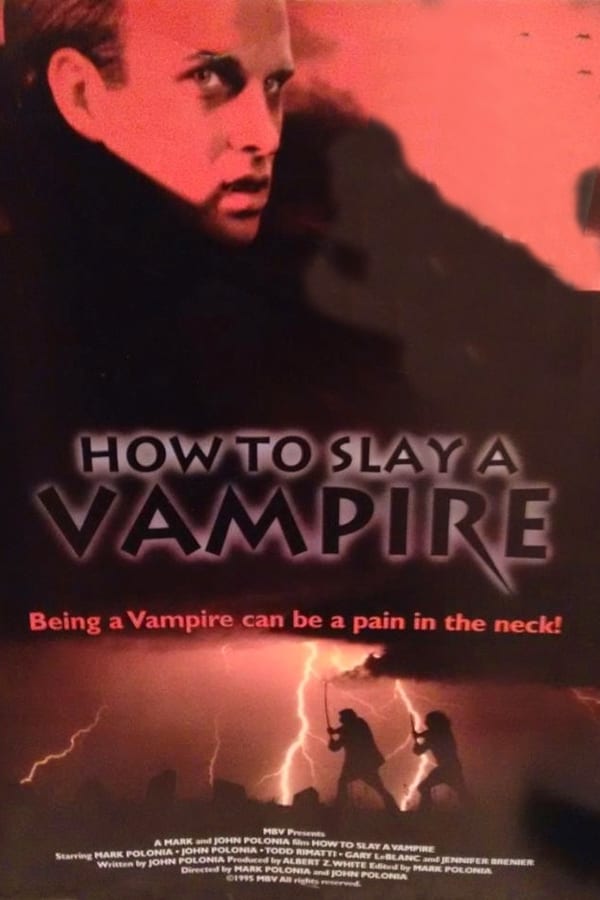 Cover of the movie How to Slay a Vampire