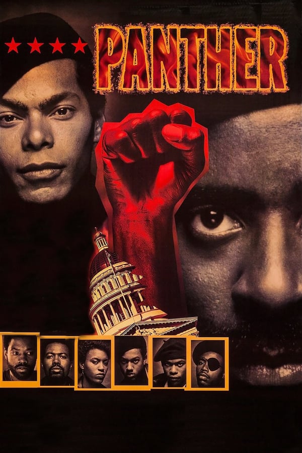 Cover of the movie Panther