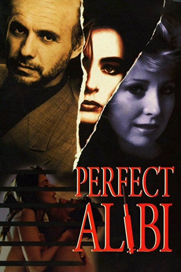Cover of the movie Perfect Alibi