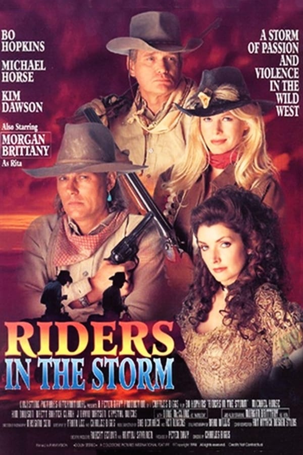 Cover of the movie Riders in the Storm