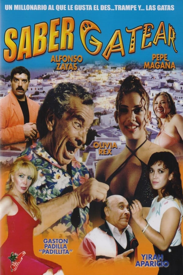Cover of the movie Saber gatear