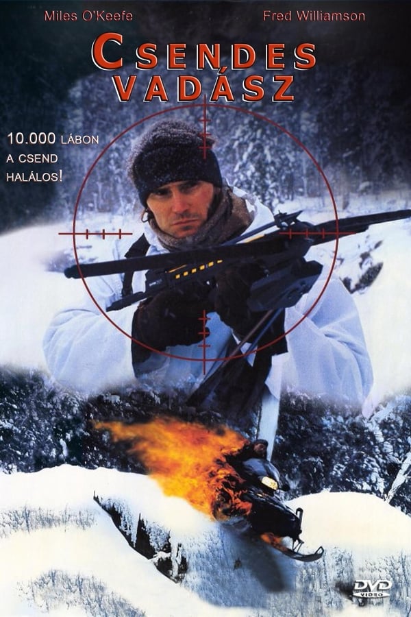 Cover of the movie Silent Hunter
