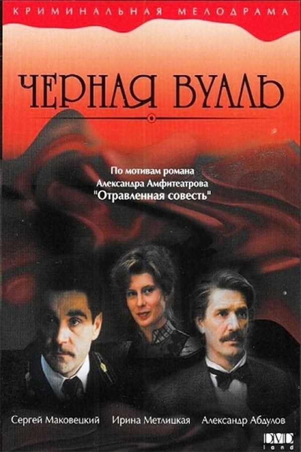 Cover of the movie The Black Veil