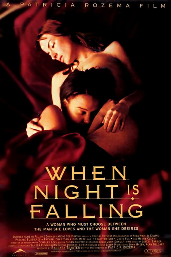 Cover of the movie When Night Is Falling