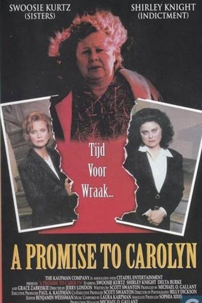 Cover of the movie A Promise to Carolyn
