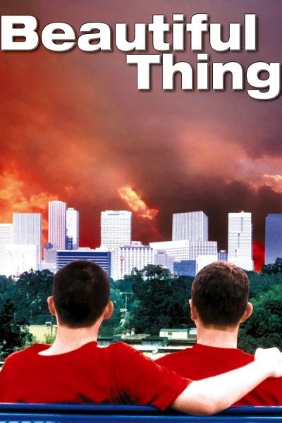 Cover of Beautiful Thing