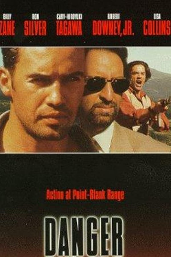 Cover of the movie Danger Zone