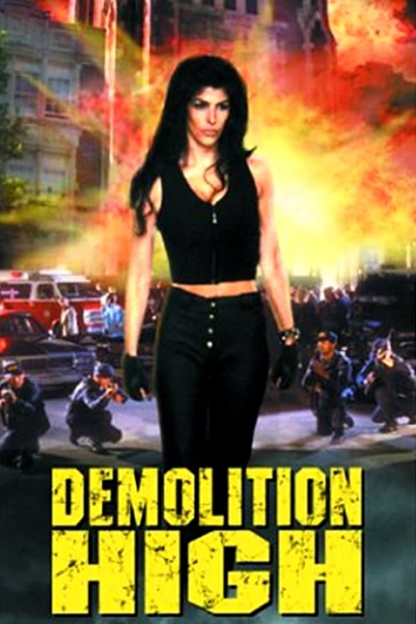Cover of the movie Demolition High
