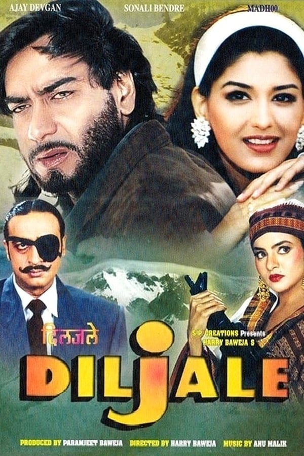 Cover of the movie Diljale