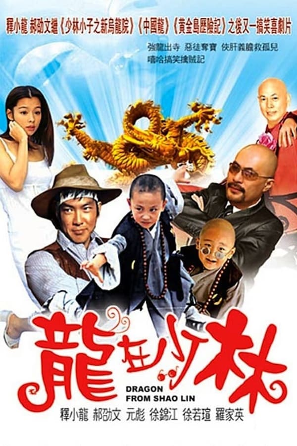Cover of the movie Dragon from Shaolin