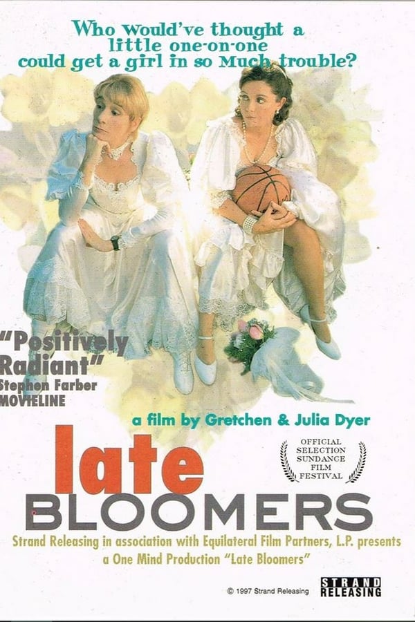 Cover of the movie Late Bloomers