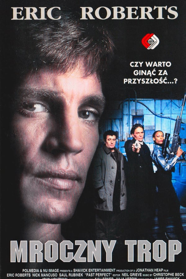 Cover of the movie Past Perfect
