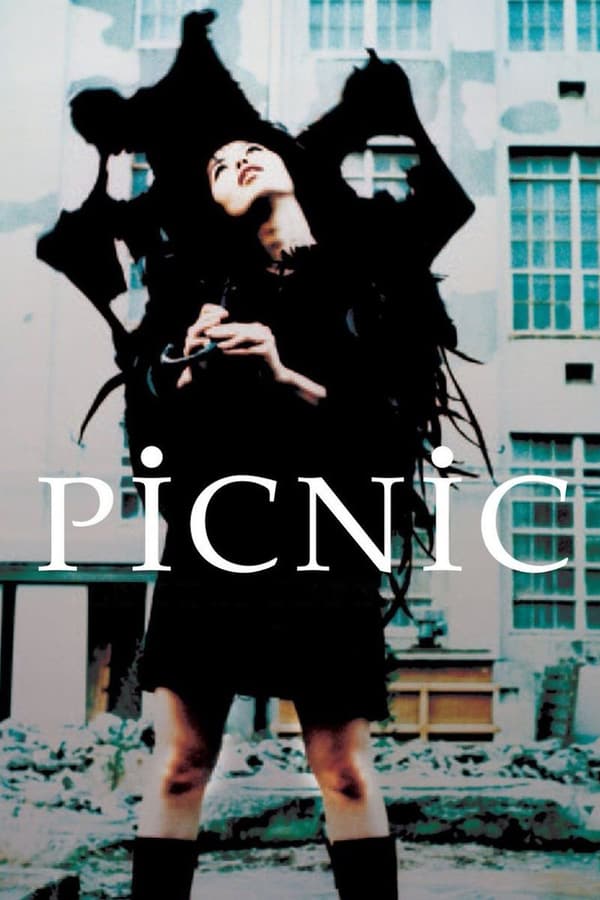 Cover of the movie Picnic
