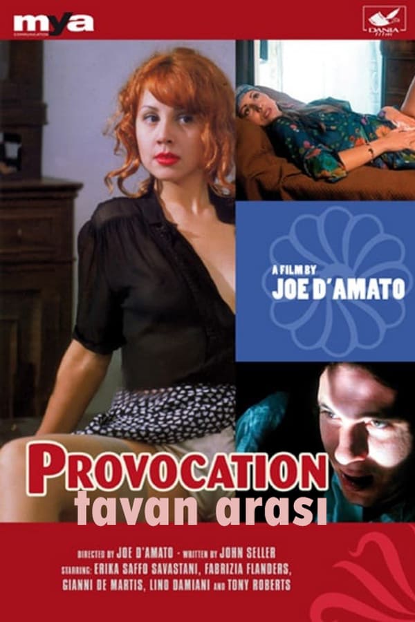 Cover of the movie Provocation