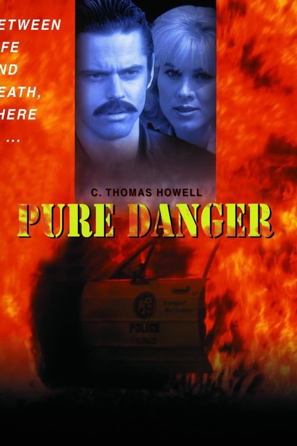 Cover of the movie Pure Danger