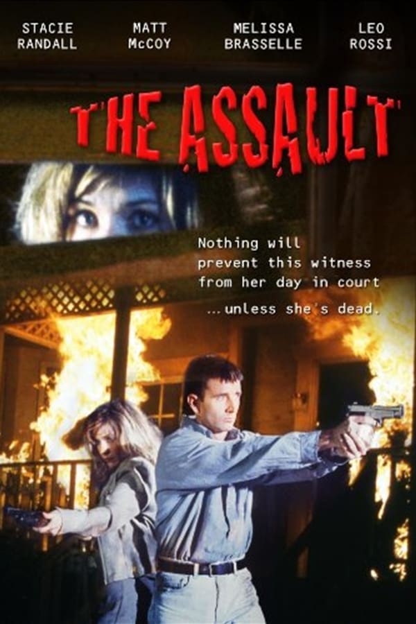 Cover of the movie The Assault
