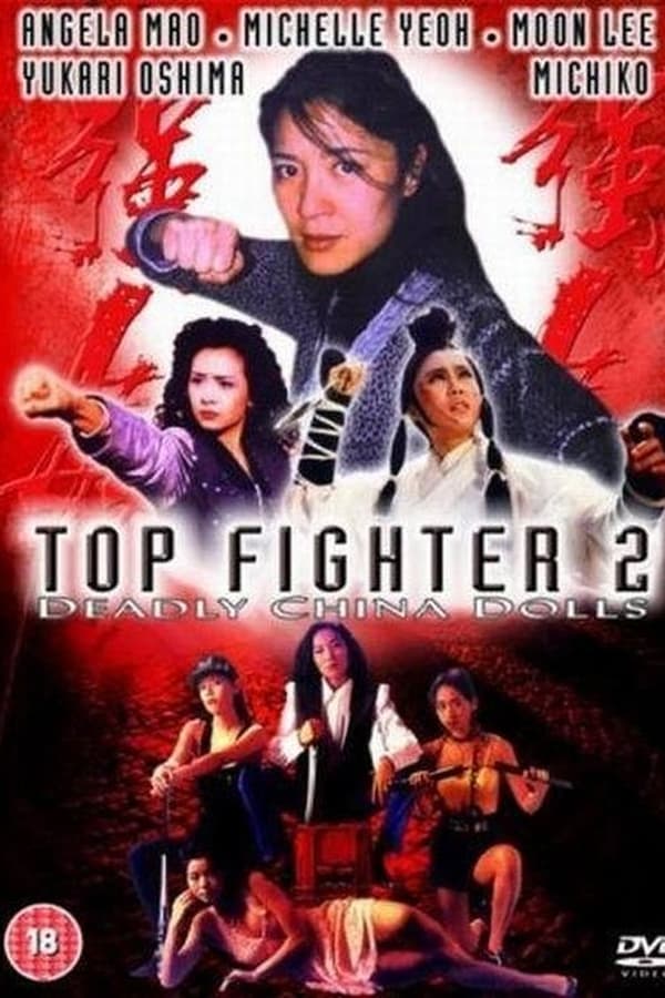 Cover of the movie Top Fighter 2